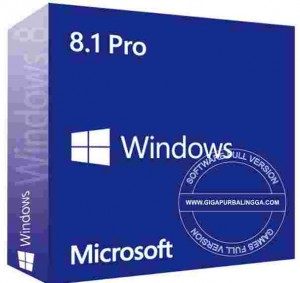 windows-8-1-professional2-300x283-4555646