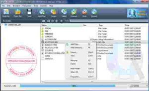 winiso-6-4-1-5976-multilingual-portable1-300x184-4027653