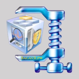 WinZip Registry Optimizer 4.22.2.22