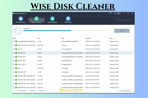 Wise Disk Cleaner Terbaru Version 2024