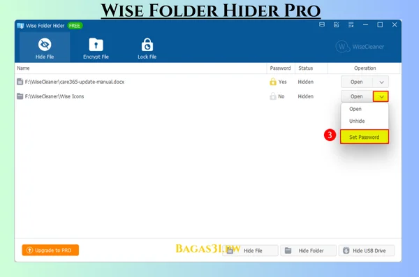 Wise Folder Hider Pro Terbaru Version 2024