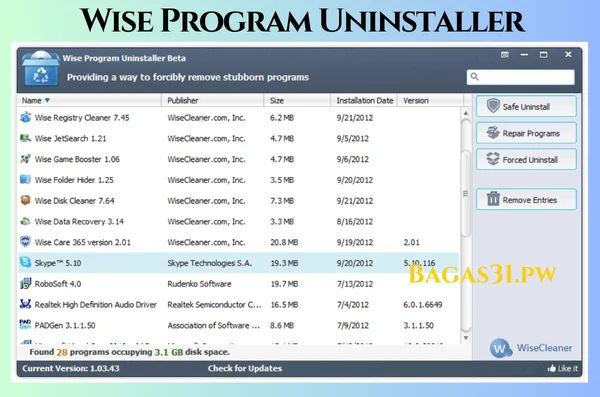Wise Program Uninstaller Free Download