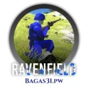 Ravenfield