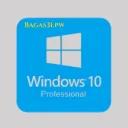 Windows 10 Pro v2009