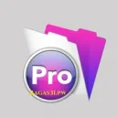 FileMaker Pro v22.0.4.406