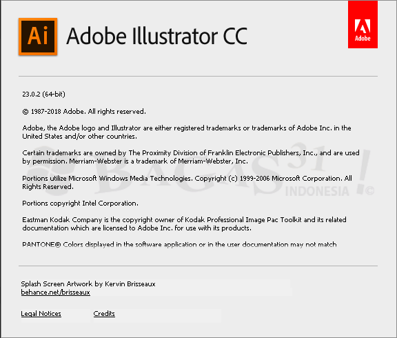 Adobe Illustrator CC 2019 23.0.2 Full Version