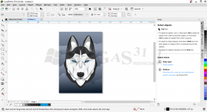 coreldraw 2019