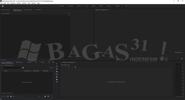 Premiere pro bagas31