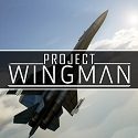 wingman-5558610-2382324