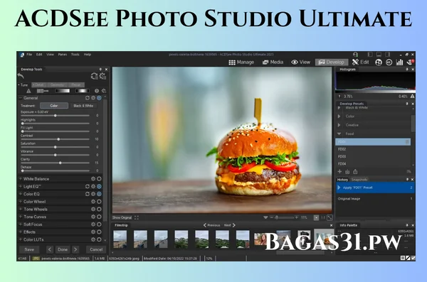 ACDSee Photo Studio Ultimate 2023 v16.0.3.3188 download for pc
