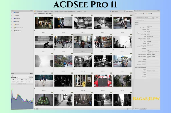 ACDSee Pro 11 Terbaru Download 2024