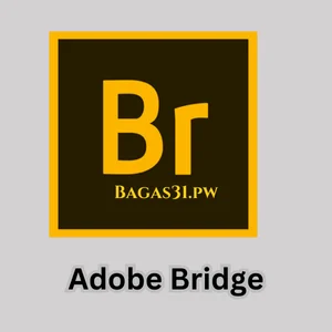 Adobe Bridge Download 2024