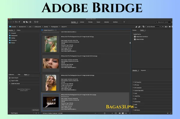 Adobe Bridge Download 2024 