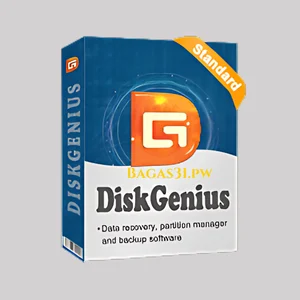 Diskgenius Professional Download 2024