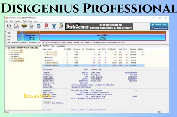 Diskgenius Professional Download 2024