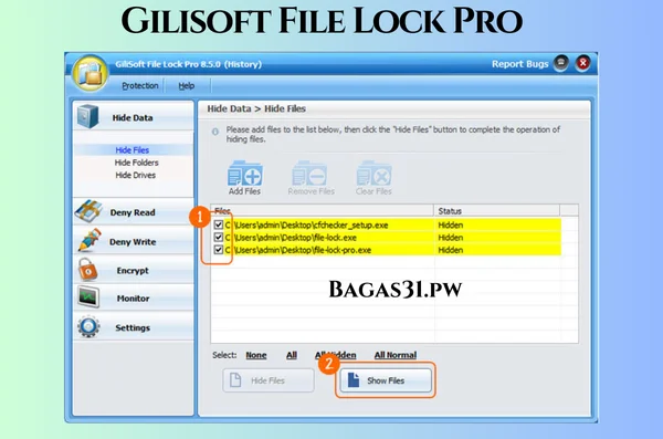 Gilisoft File Lock Pro Terbaru Version