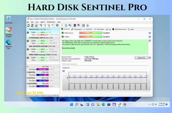 Hard Disk Sentinel Pro Download 2024