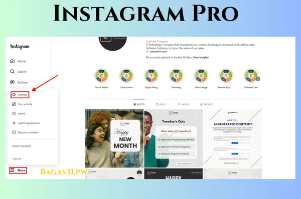 Instagram Pro Download 2024