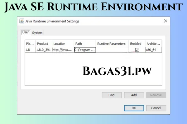 Java SE Runtime Environment Free Download