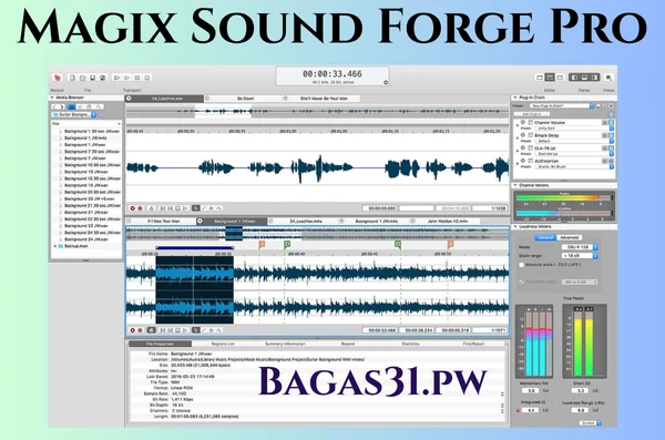 Magix Sound Forge Pro Free Download