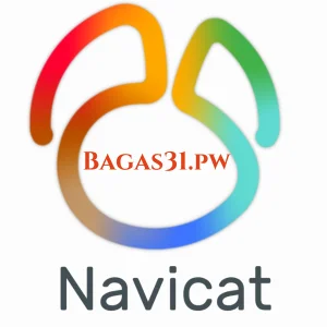 Navicat Premium bagas31