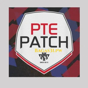 PTE Patch Download 2024