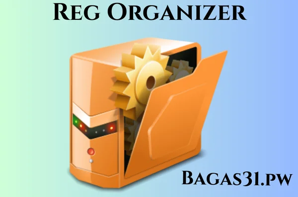 Reg Organizer bagas31