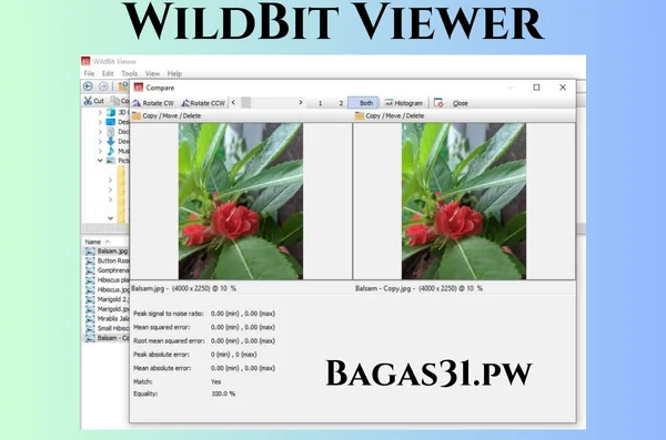 WildBit Viewer Free Download
