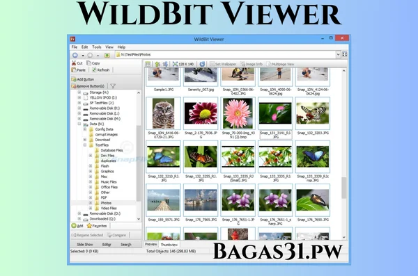 WildBit Viewer Full Terbaru