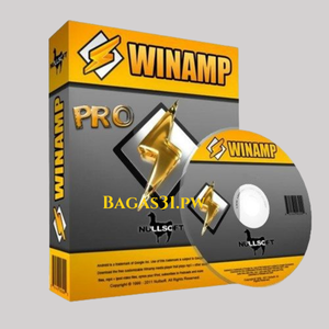 Winamp Pro Download 2024