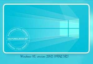 Windows-10-Pro-20H2-19042.782-AIO-June-2024