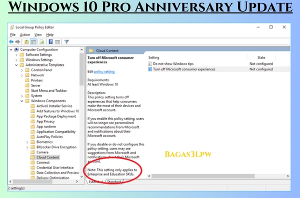 Windows 10 Pro Anniversary Update Download 2024