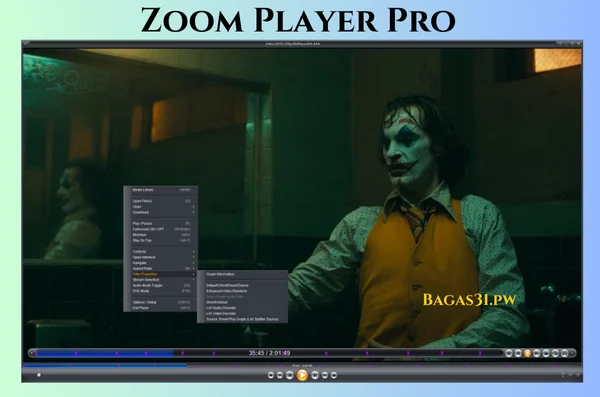Zoom Player Pro Download 2024