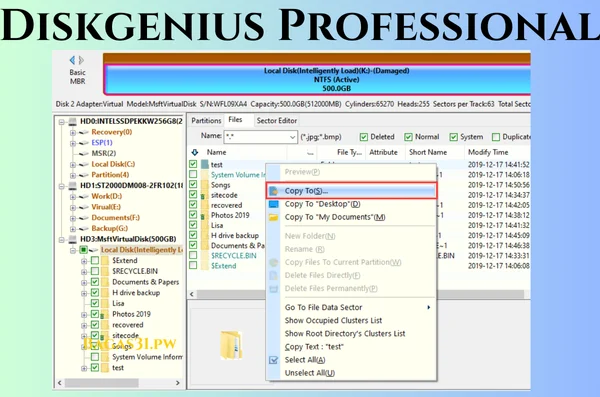 Diskgenius Professional Download 2024