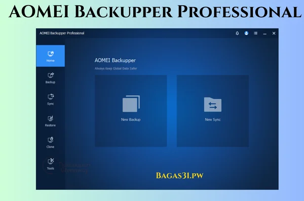 AOMEI Backupper Professional Download 2024 