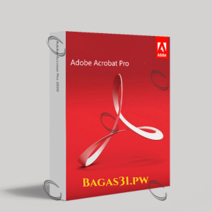 Adobe Acrobat Pro