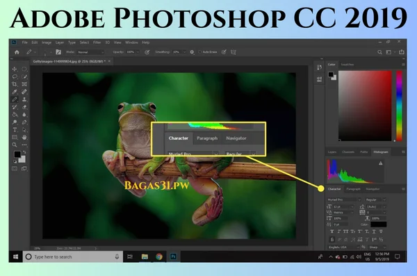 Adobe Photoshop CC 2019 Download 2024