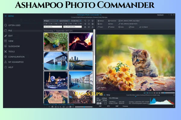 Ashampoo Photo Commander Terbaru Download 2024