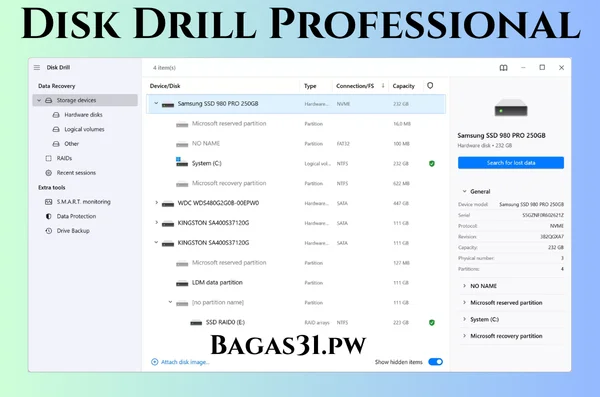 Disk Drill Professional Full Bagas31