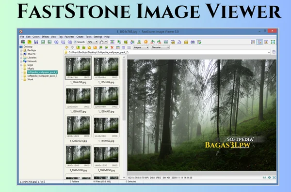 FastStone Image Viewer Download 2024
