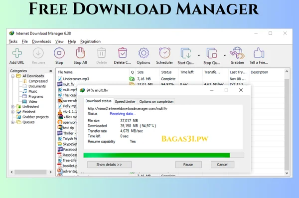 Free Download Manager Latest Download 2024