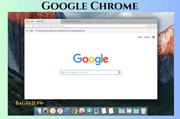 Google Chrome Download 2024