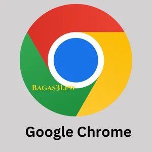 Google Chrome Download 2024