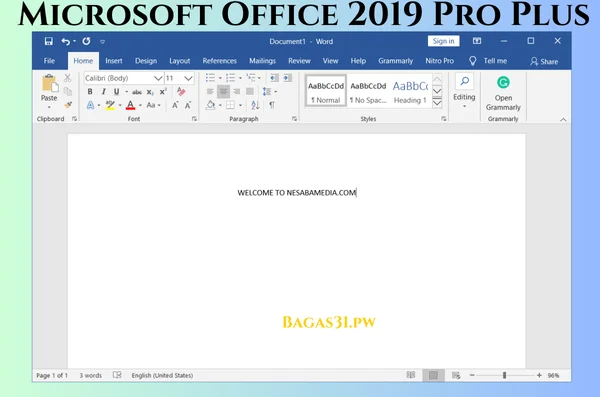 Microsoft Office 2019 Pro Plus Latest Version 2024