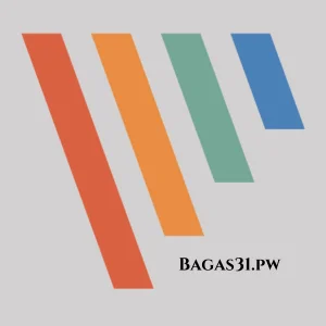 PicPick Professional Bagas31