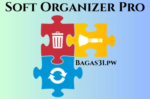 Soft Organizer Pro Full Bagas31