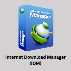 Internet Download Manager Download 2024 (1)