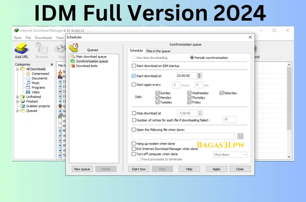 Internet Download Manager Latest Version Download 2024 (1)