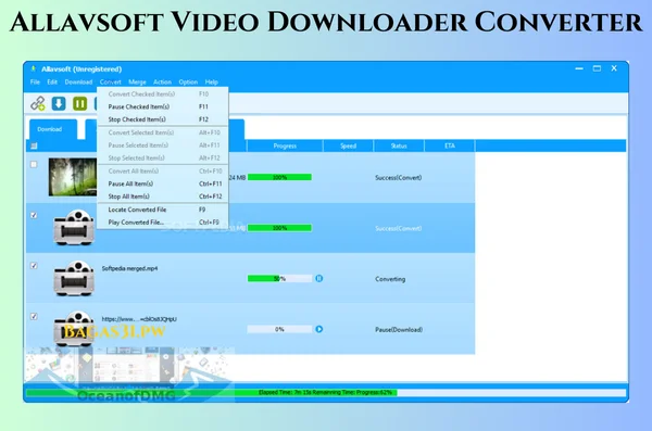 Allavsoft Video Downloader Converter Download 2024