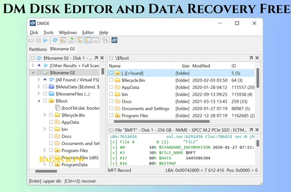 DM Disk Editor and Data Recovery Free Download 2024